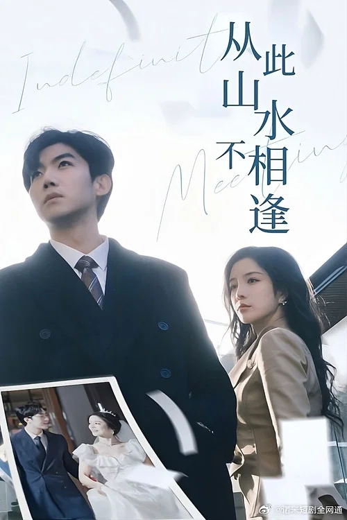 從此山水不相逢(2024)海報