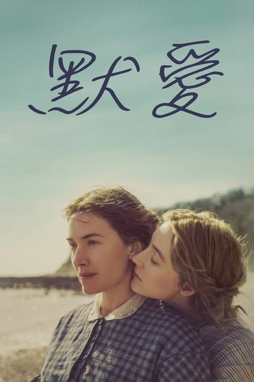 菊石(2020)海報