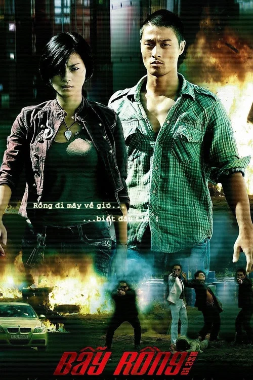 冲撞(2009)海报