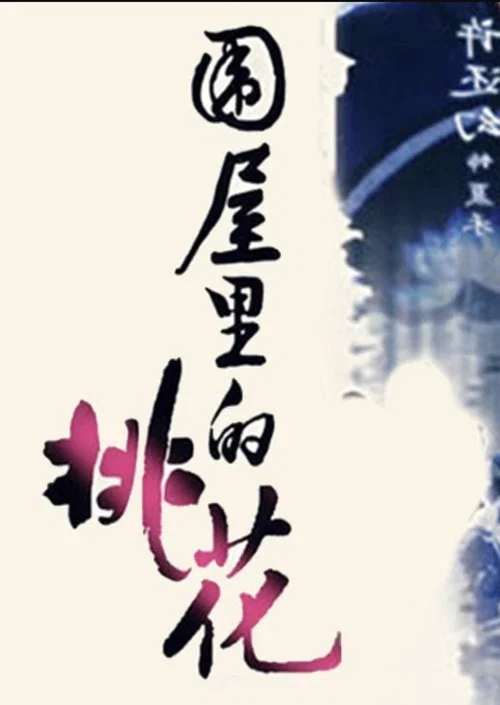 围屋里的桃花(2009)海报