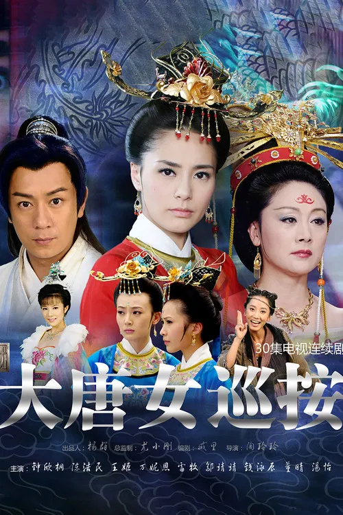 大唐女巡按(2011)海报