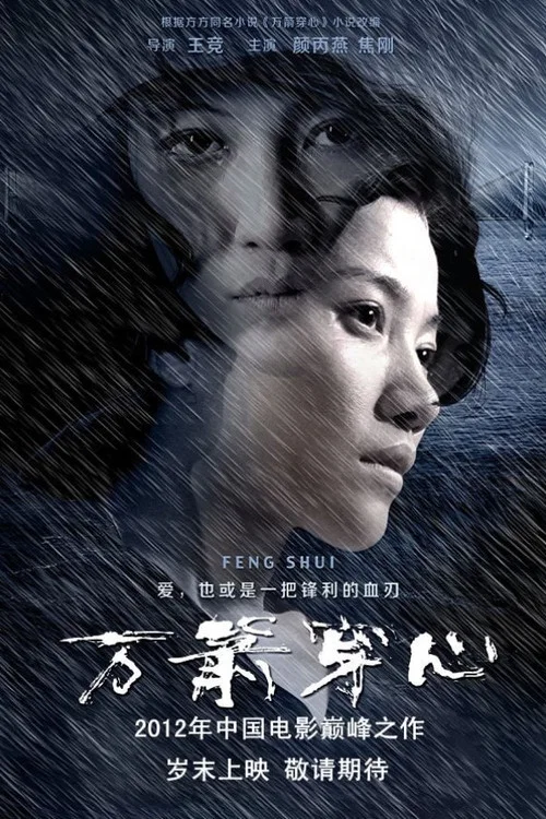 万箭穿心剧照5