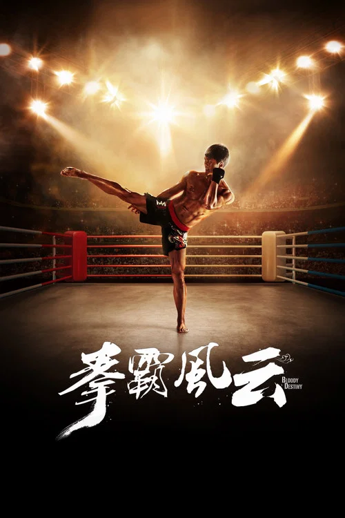 拳霸风云(2015)海报