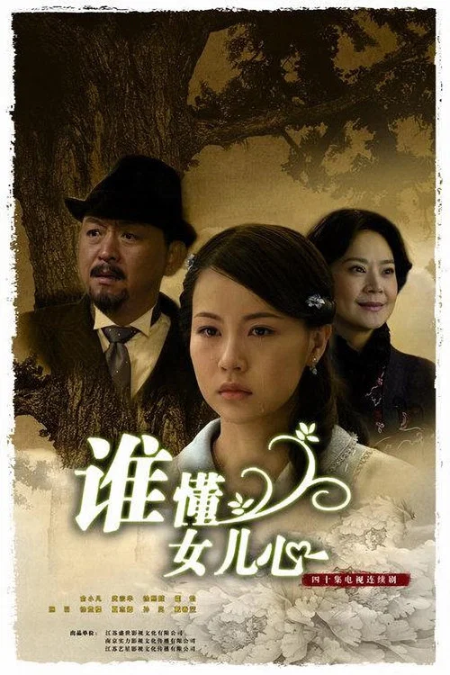 誰懂女兒心(2009)海報