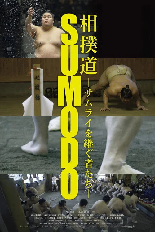 相扑道海报