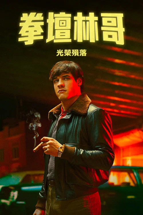 拳坛林戈:光荣殒落剧照6