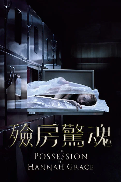 漢娜格蕾絲的著魔(2018)海報