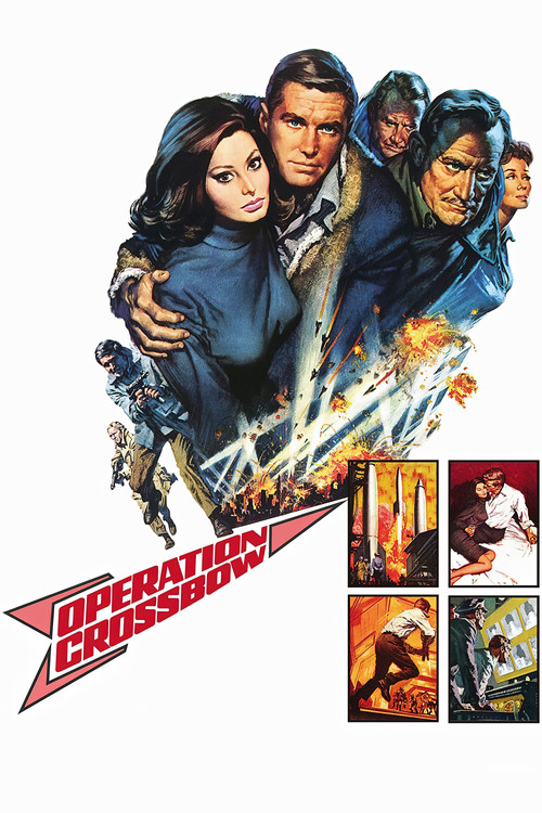 爆破死亡谷(1965)海报