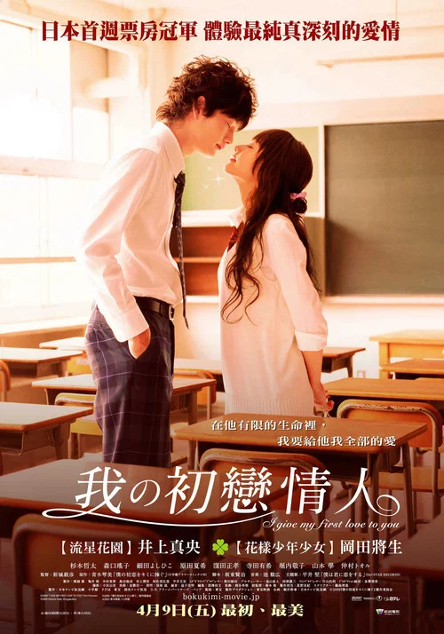 我的初恋情人(2009)海报