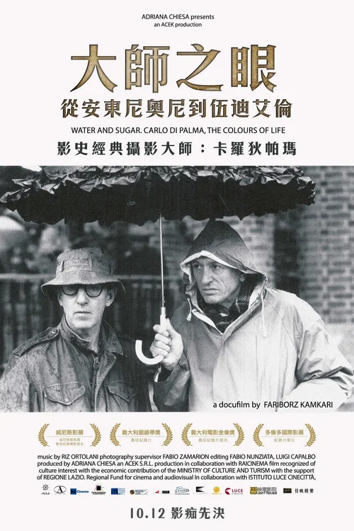 水与糖:摄影家卡洛·迪·帕尔马的生活与色彩(2017)海报