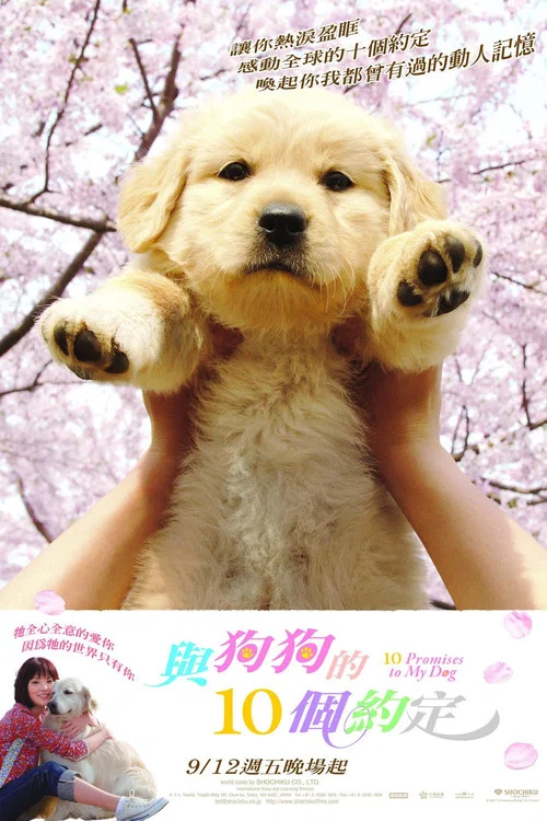 狗狗與我的十個約定(2008)海報