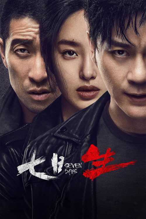 七日生(2019)海报