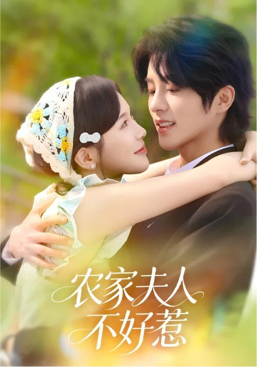 夫人不好惹(2026)海報