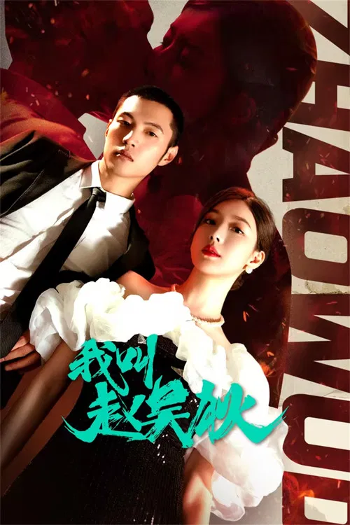 我叫赵吴狄(2024)海报