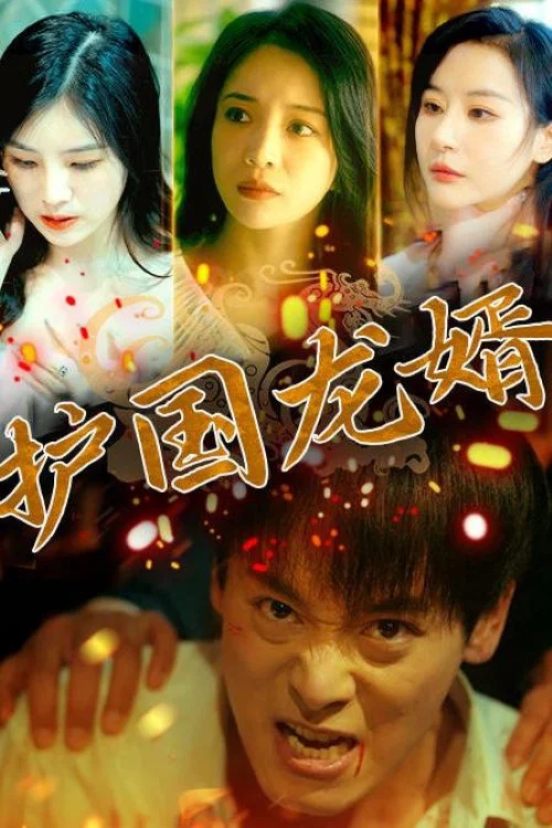 護國龍婿(2023)海報