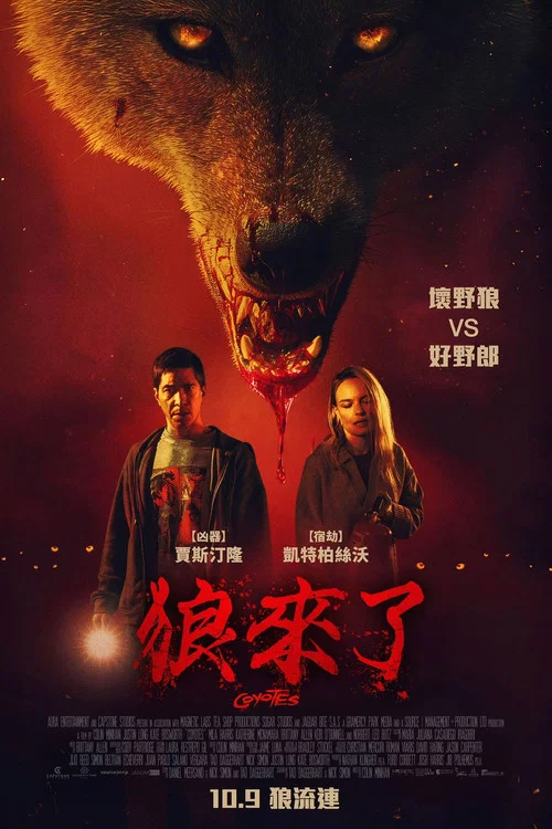 郊狼(2025)海報