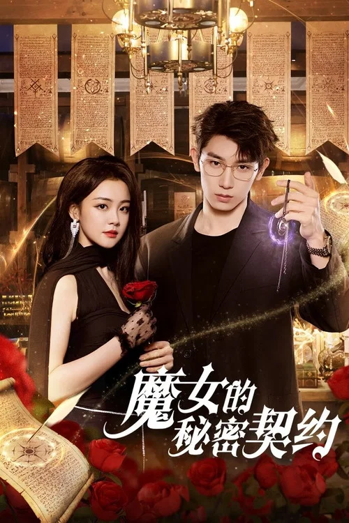 魔女的秘密契约海报