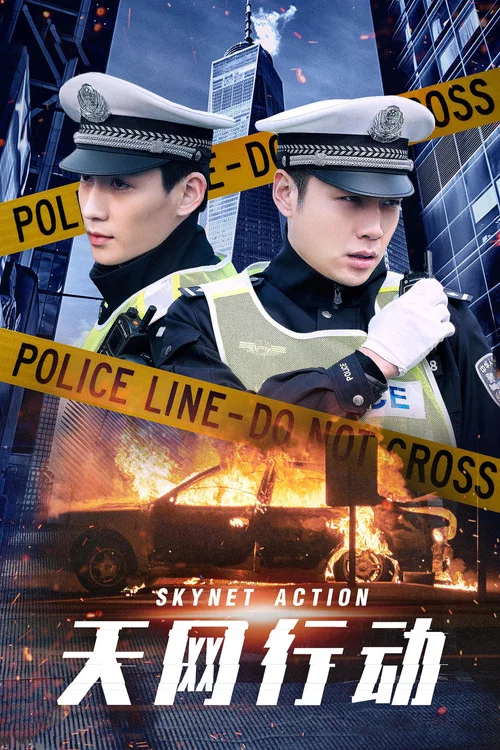 天網行動2019(2019)海報