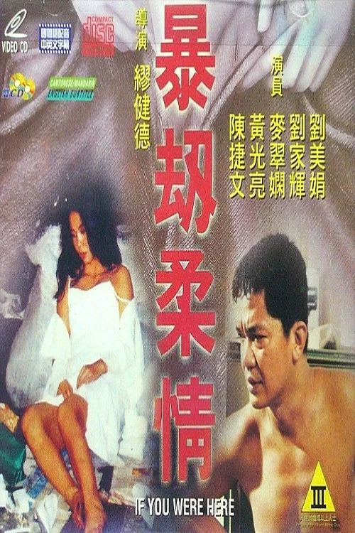 暴劫柔情(1994)海报