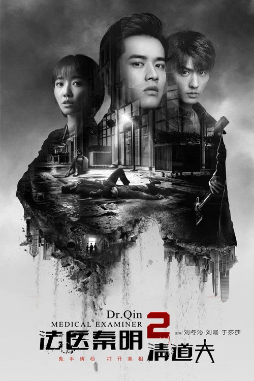 法医秦明2清道夫(2018)海报