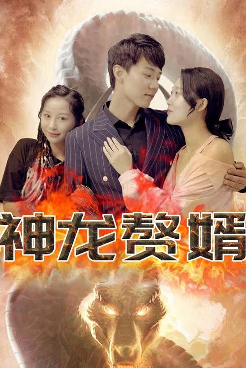 神龍贅婿(2023)海報