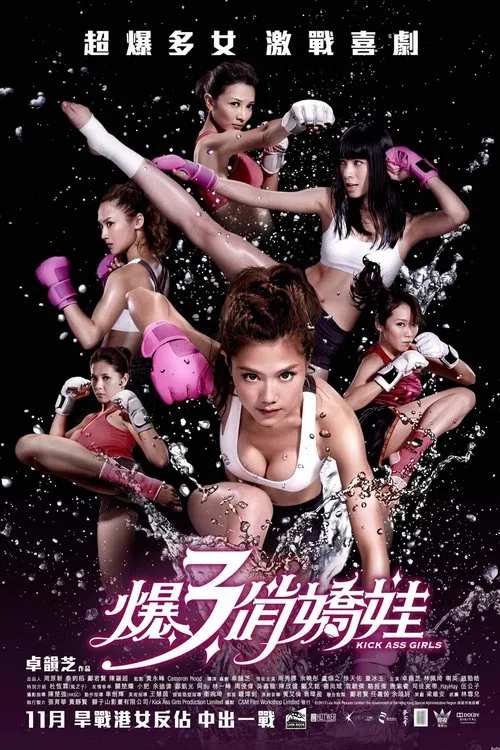 霹雳囧花(2013)海报