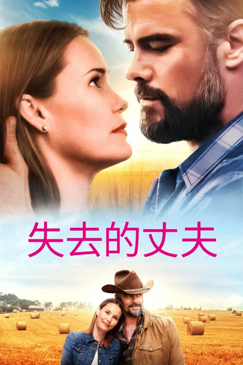 失去的丈夫(2020)海報