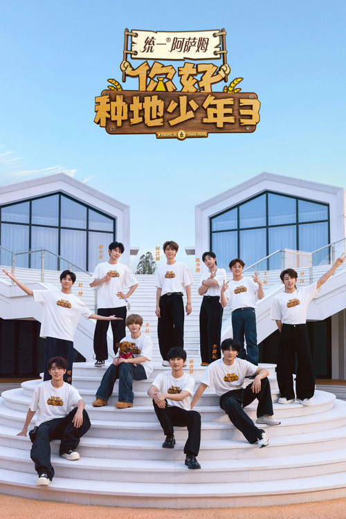 你好种地少年海报