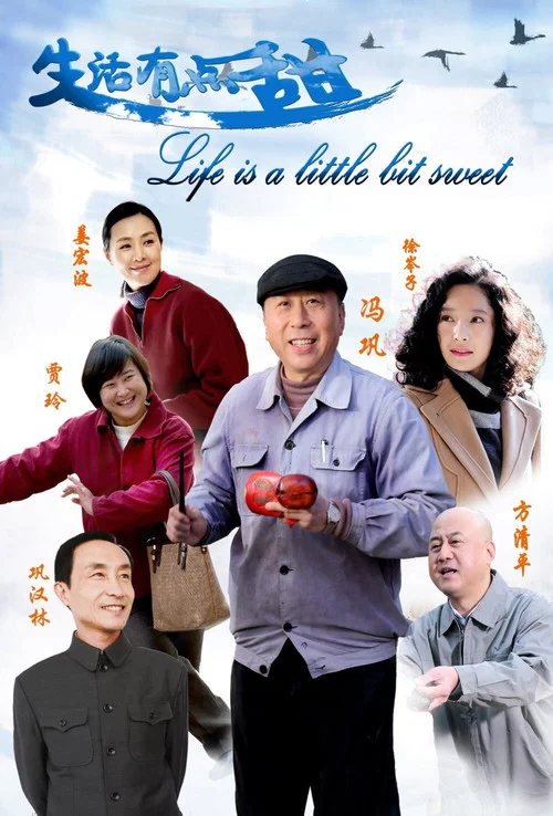 生活有點甜(2016)海報