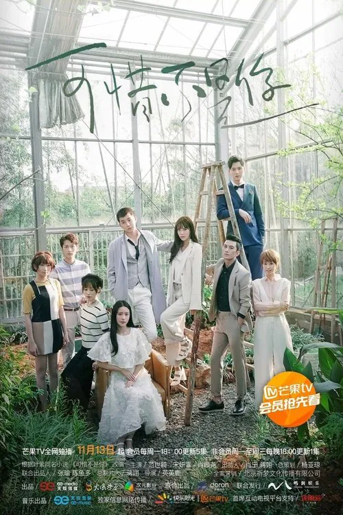 可惜不是你(2017)海報