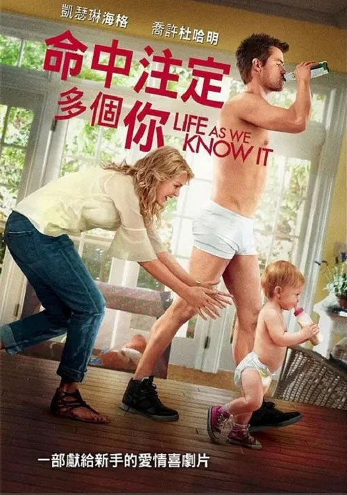 我們所知道的生活(2010)海報