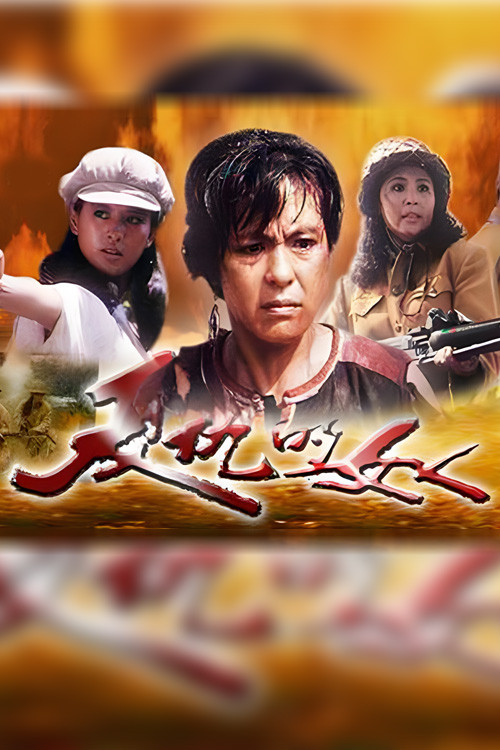 复仇的女人(1992)海报