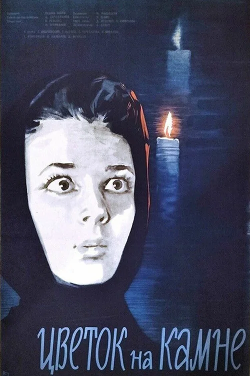 石头上的花(1963)海报