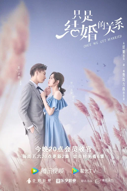 只是结婚的关系剧照13