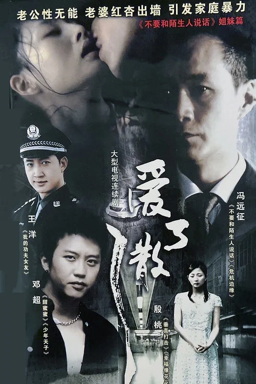愛了散了(2007)海報