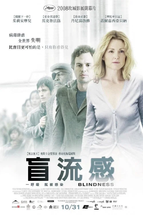 盲流感(2008)海報