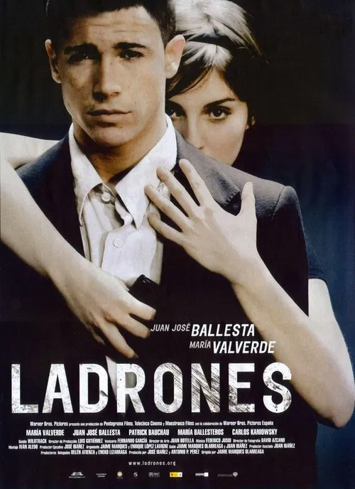 窃遇偷香(2007)海报