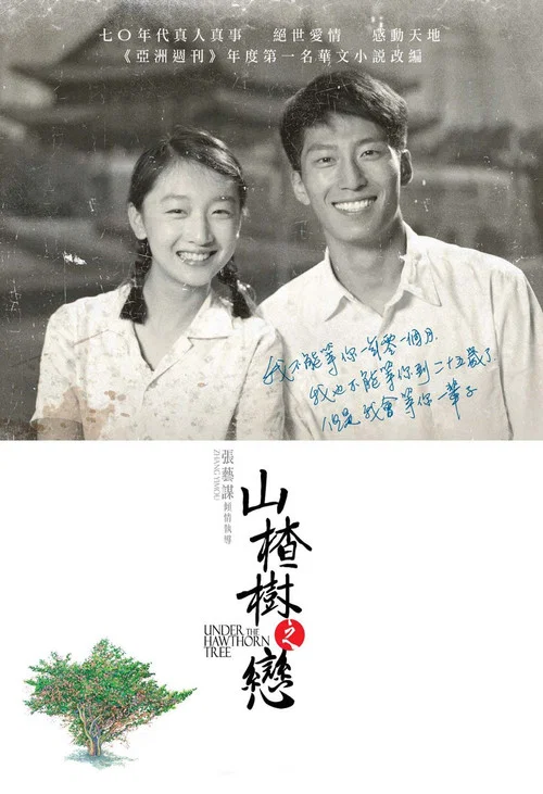 山楂树之恋剧照3