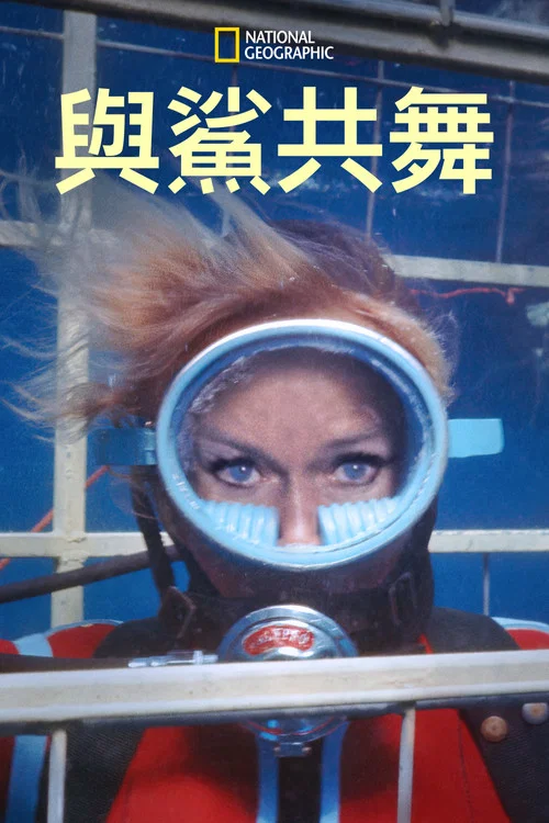 与鲨鱼游弋(2021)海报