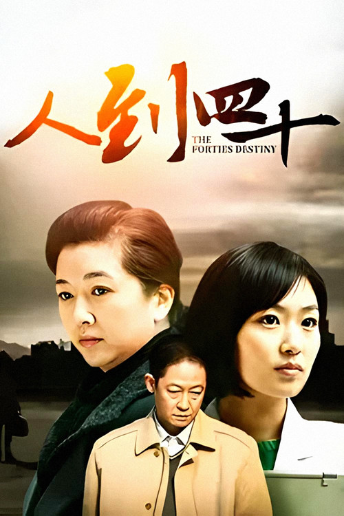 人到四十(2011)海報