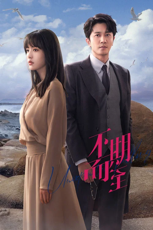 不期而至(2022)海報