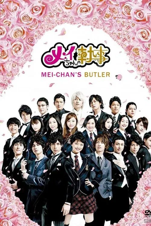 我的帥管家(2009)海報