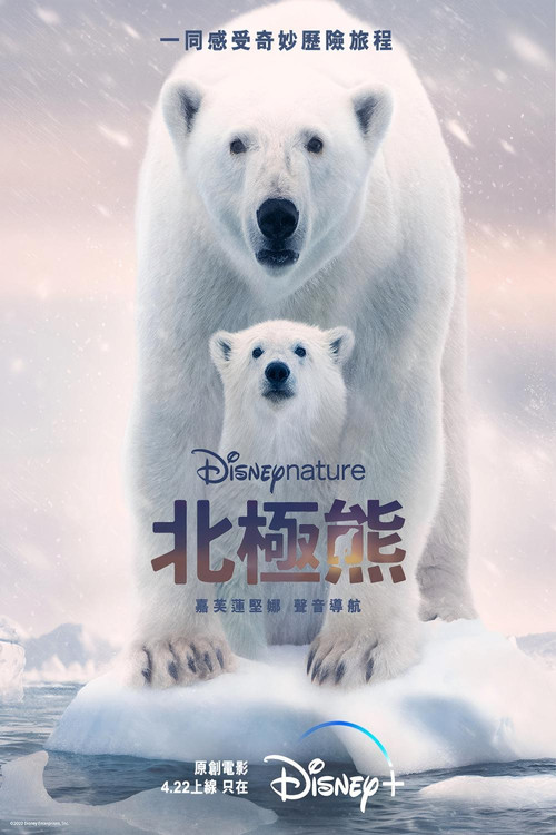 北极熊(2022)海报