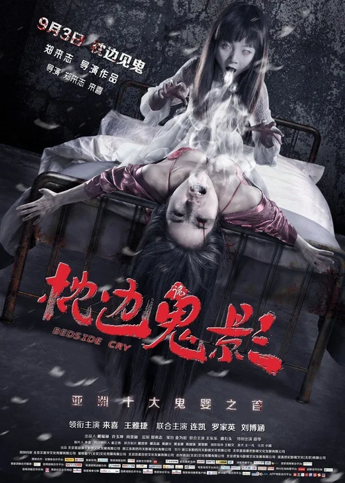 枕边诡影(2015)海报
