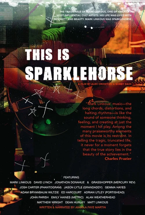 ThisIsSparklehorse海报