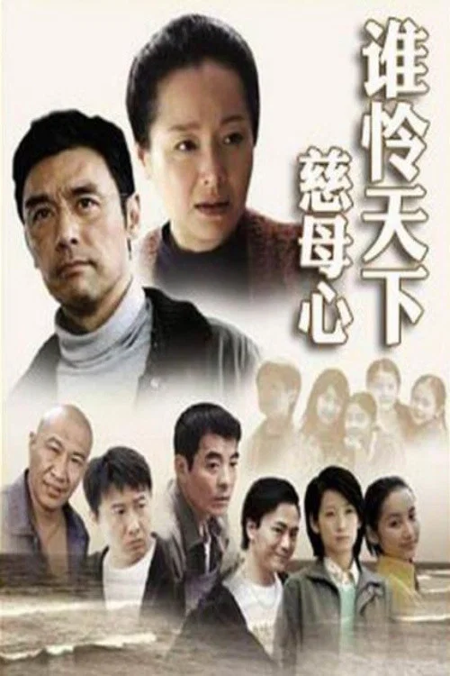 誰憐慈母心(2007)海報