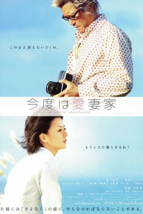 爱妻家(2009)海报