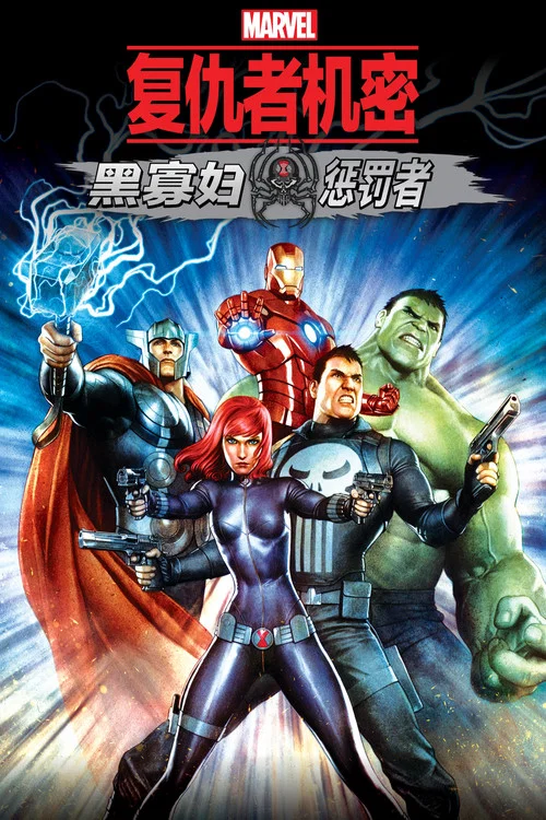 机密复仇者:黑寡妇与惩罚者(2014)海报