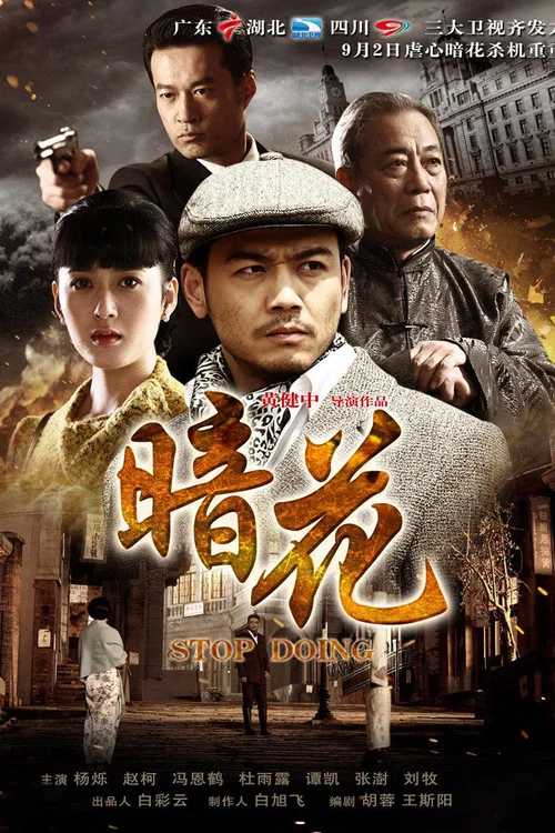 暗花(2012)海报