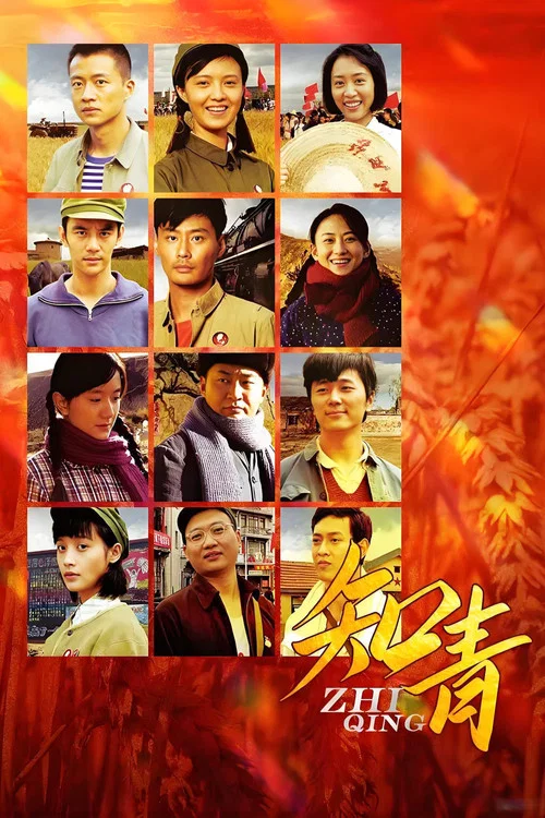 知青(2012)海报